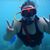 Kelly Schadeck's profile image