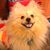 Cookie Lee's profile image
