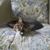 Mary Berigan Rogers's profile image