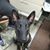 Lori Welch Zufelt's profile image