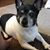Missy Baker Schuyler's profile image