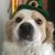 Rick Seamann's profile image