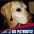Shepperd B. Luce's profile image