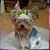 Deb Boyer's profile image