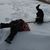 Lynne Oppeneer's profile image