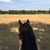 Mirriah Milburn Seggern's profile image