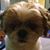 Nate Brownlow's profile image