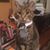 Donna Schmidt's profile image