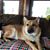 Debbie Appleby's profile image