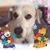 Margaret Carroll's profile image