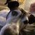 Sean Vater's profile image