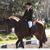 Paula Carlin Gibson's profile image