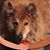 Nancy Gale's profile image