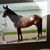 Keith Witting's profile image