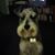 Susan Turowsky's profile image