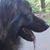 Maureen O'Donnell's profile image