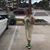Linda A Williams's profile image