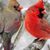 Kathy J Williams's profile image