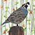 Sandra Weddell Stent's profile image