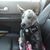 Rich Suthers's profile image