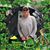 Philip J. Wierzbinski's profile image