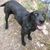 Alicia Pelkey's profile image