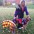 Michelle Wiese Streif's profile image