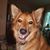 Donna Clarke Claud's profile image