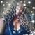 Bridgette Burkley's profile image