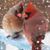 Kay Hake Payne's profile image