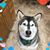 Traci Fishbein Carrion's profile image