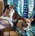 Valerie Border's profile image