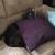 Jackie Vinson's profile image