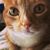 John Taylor's profile image