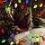 Carmilla Y Jefferies's profile image