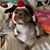 Tammi Fitch's profile image
