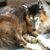 Margaret Welch's profile image