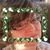 Lisa Hartman's profile image