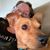 Valerie Cozart's profile image
