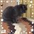 Catherine Nelson's profile image