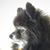 Rita Berger's profile image