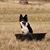 Julie Grenfell's profile image