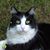 Oliver N Kay Gilmer's profile image