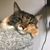 Charo Eriz's profile image