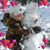 Joyce Dowd's profile image