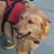 Vera Williams's profile image