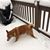 Shari Houle's profile image