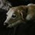 Liz Wucher Grass's profile image