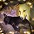 Teddy Jones's profile image