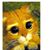 Devan Walsh Ward's profile image